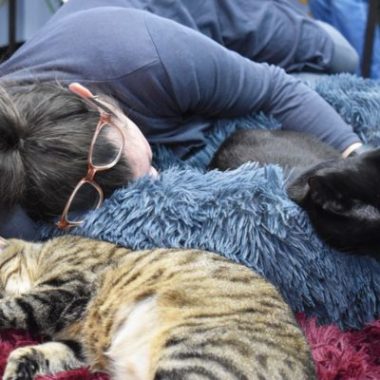 A woman takes a nap with two cats curled up by her side at Tail Town Cafe in Pasadena.
