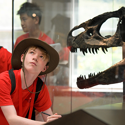 Webb Junior Scholars Summer Program